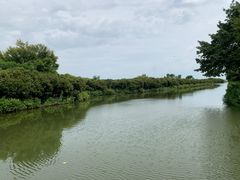 -大湾区中央湿地公园