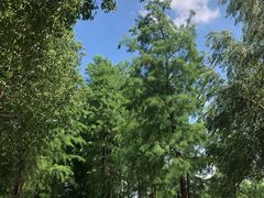 -南京工程学院(江宁校区)