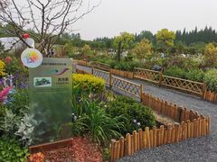 -东平国家森林公园