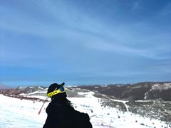 -密苑云顶乐园