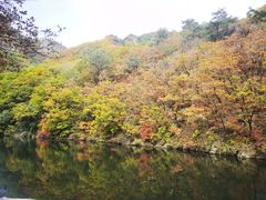 -关门山森林公园