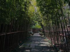 -新荣记(西溪湿地店)