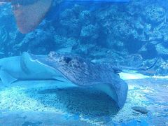 -大连老虎滩海洋公园