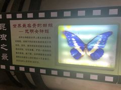 -上海昆虫博物馆