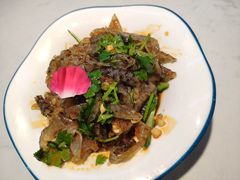 凉拌鱼皮-花椒俏川菜小馆(南海万达店)
