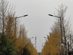 -北京益泉花园酒店