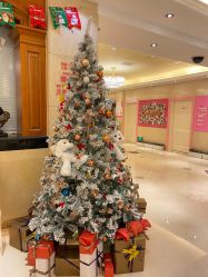 -北京俪婴妇产医院(朝阳大悦城店)