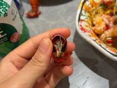 -一绪に寿喜烧(虹悦城店)