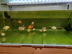 -甜心闲生传统手工冰粉(奎星楼店)