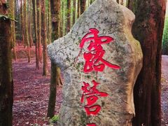 -山王坪喀斯特国家生态公园