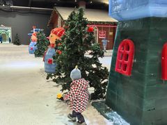 -宁波冰雪大世界(北仑区)