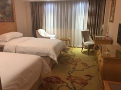 -维也纳智好酒店(深圳罗湖口岸国贸火车站店)