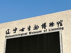 -辽宁古生物博物馆