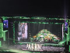 -杭州奥体中心-体育场