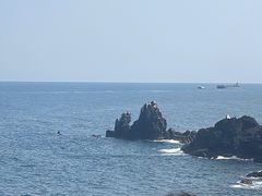 -涉地可支