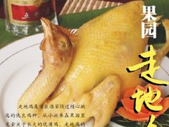 侯臣乡村走地鸡-侯臣咖啡文化村
