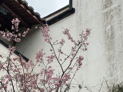-乌山风景区