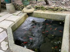 -宣和苑(华侨新村店)
