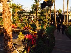 -FINNS Beach Club