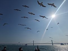 -星海湾跨海大桥