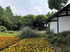 -梁鸿国家湿地公园