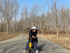 -东郊湿地公园