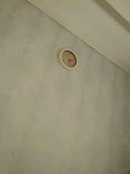 -海茱雅科技健康美容