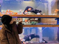 -金三角花鸟鱼综合市场-地面停车场