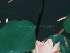 -合肥市图书馆