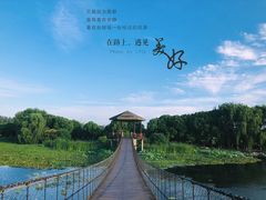 -荷塘月色湿地公园·向阳花洲