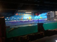 -常州海昌海洋探索馆