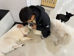 -共舞时光猫咖·狗咖(新街口店)