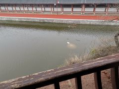 -东坡赤壁风景名胜区