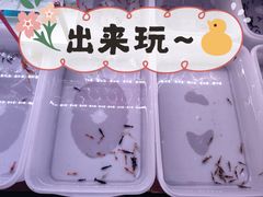 -华声天桥民俗文化园