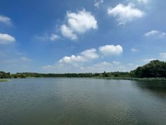 -溱湖国家湿地公园