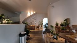 -WAVE SODA摄影工作室