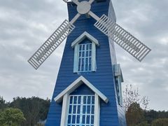 -铁山坪森林公园
