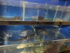 -李东农庄(中南百草园地标店)