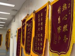 -中农国际动物医院24小时·猫科·骨科·急重症中心