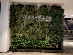 -WFC会仙楼观景台