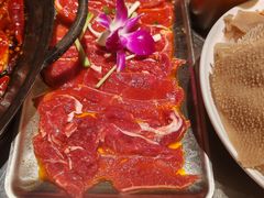 -朱光玉火锅馆(正弘城店)