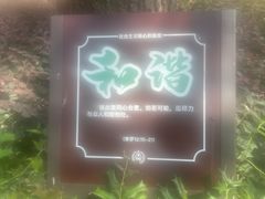 -上海佘山国家森林公园西佘山园