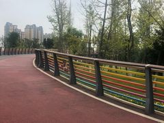 -府河摄影公园