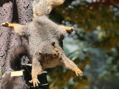 -陕西自然博物馆