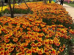 -石家庄市植物园