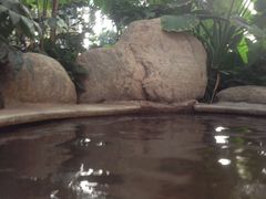 -郑州银基黄帝宫御温泉