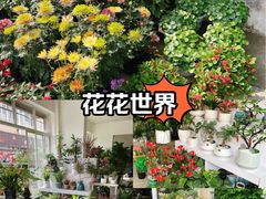 -嘉善国际农商城
