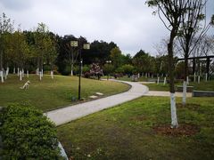 -铁山坪森林公园