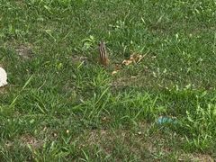 -哈尔滨文化公园