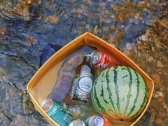 -北仑森林植物园